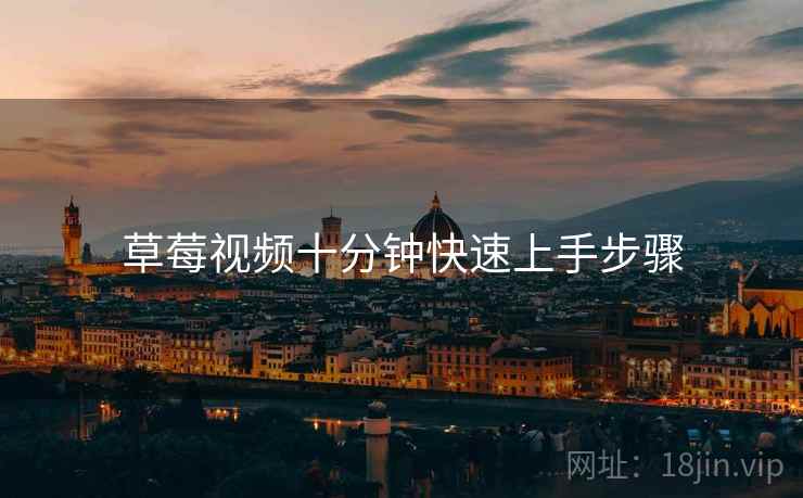 草莓视频十分钟快速上手步骤