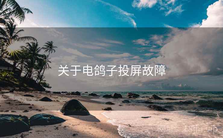 关于电鸽子投屏故障
