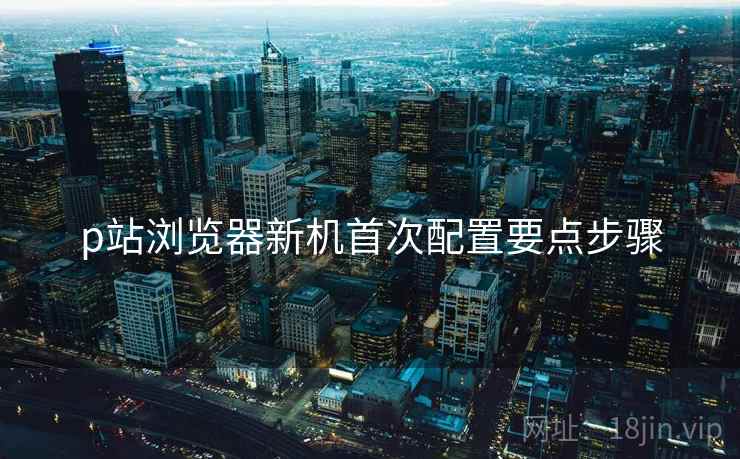 p站浏览器新机首次配置要点步骤