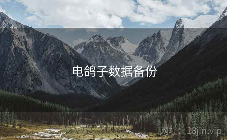电鸽子数据备份