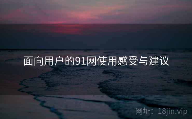面向用户的91网使用感受与建议