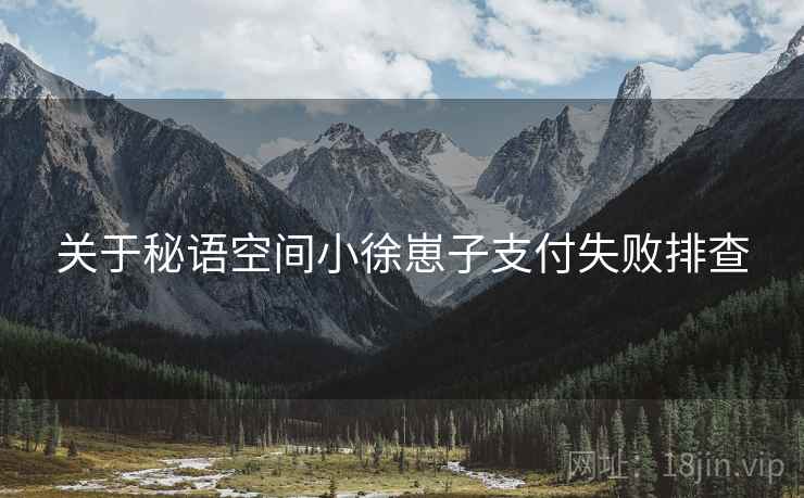 关于秘语空间小徐崽子支付失败排查