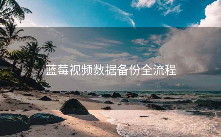 蓝莓视频数据备份全流程