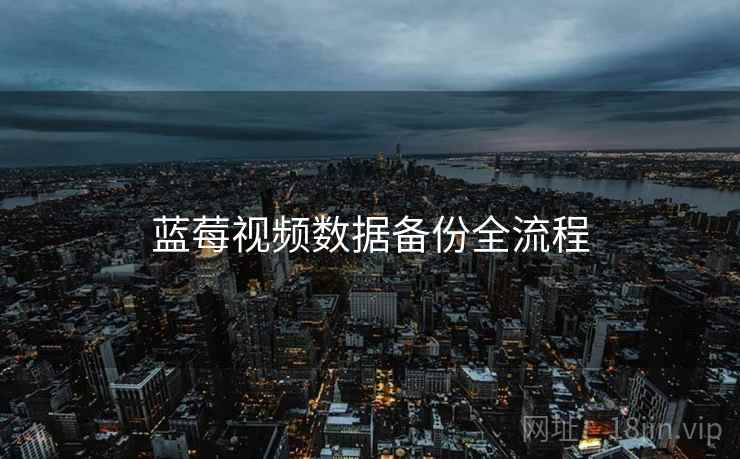 蓝莓视频数据备份全流程