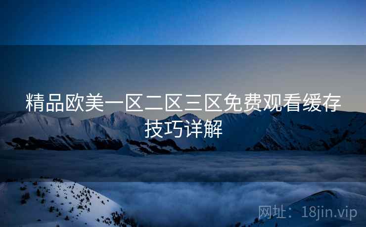 精品欧美一区二区三区免费观看缓存技巧详解