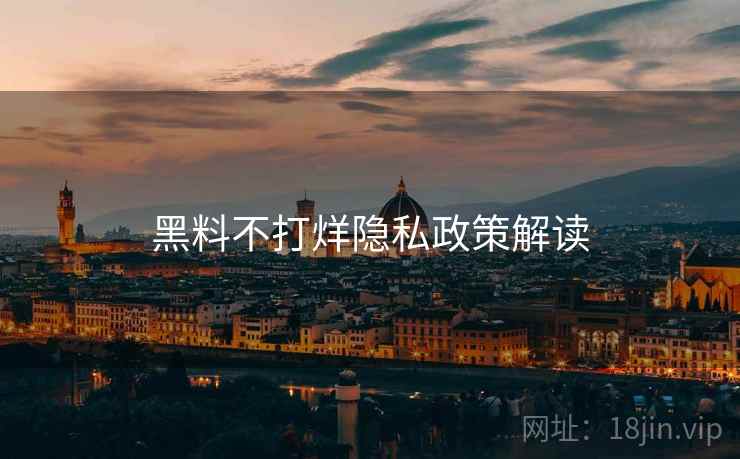 黑料不打烊隐私政策解读