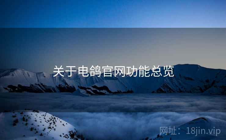关于电鸽官网功能总览