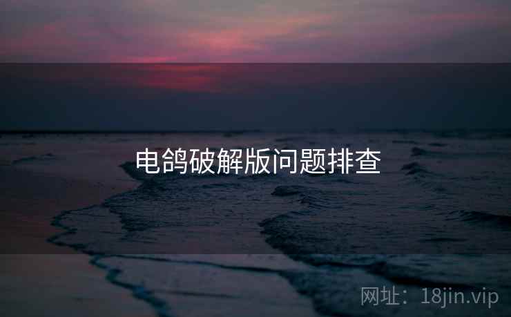 电鸽破解版问题排查