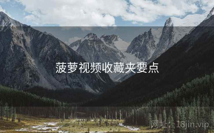 菠萝视频收藏夹要点