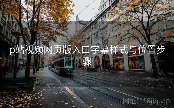 p站视频网页版入口字幕样式与位置步骤