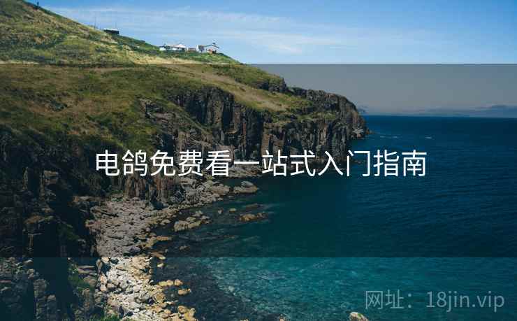 电鸽免费看一站式入门指南