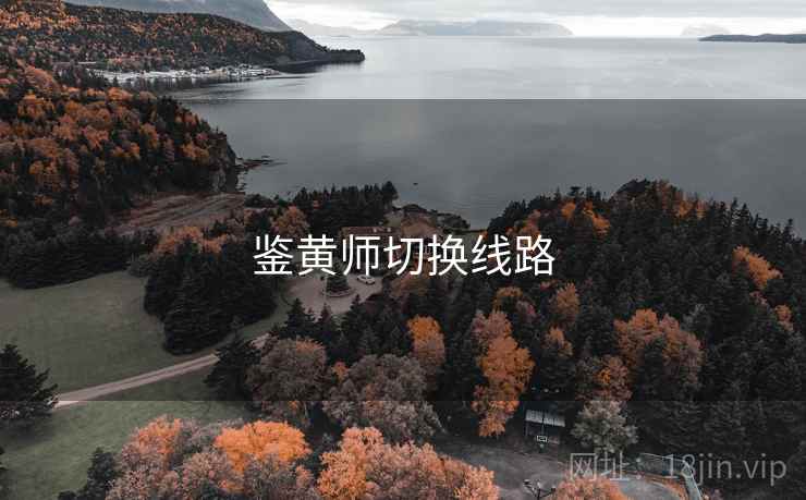 鉴黄师切换线路