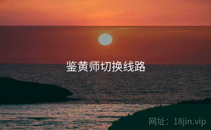 鉴黄师切换线路