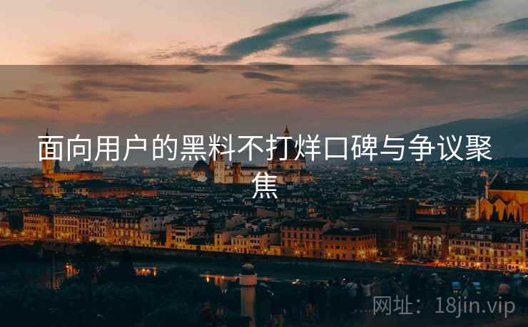 面向用户的黑料不打烊口碑与争议聚焦