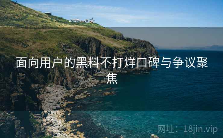 面向用户的黑料不打烊口碑与争议聚焦
