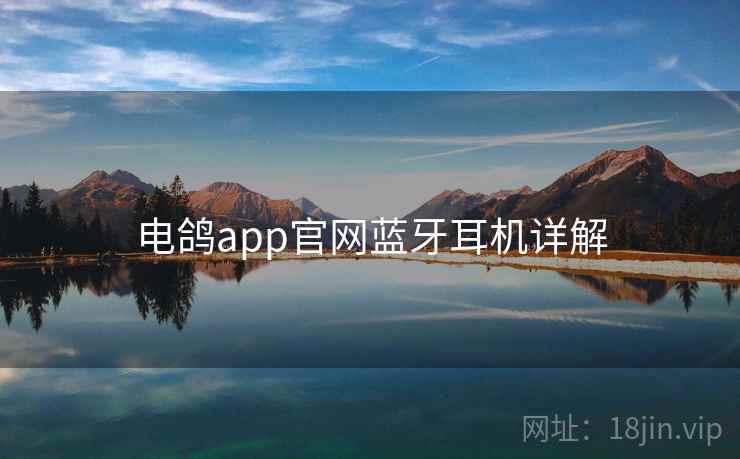 电鸽app官网蓝牙耳机详解