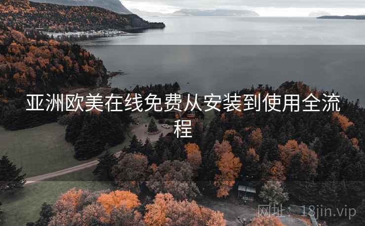 亚洲欧美在线免费从安装到使用全流程