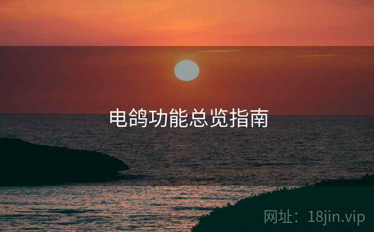 电鸽功能总览指南
