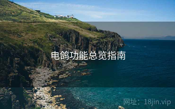 电鸽功能总览指南