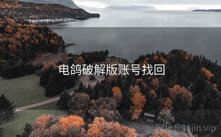 电鸽破解版账号找回