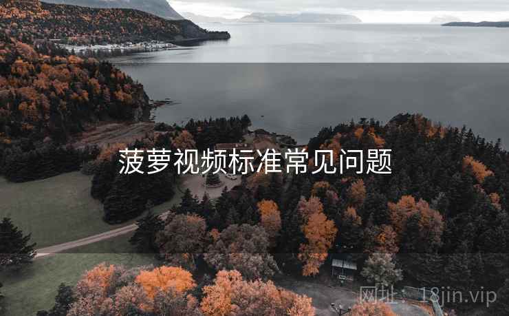 菠萝视频标准常见问题