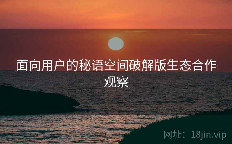 面向用户的秘语空间破解版生态合作观察