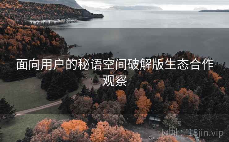 面向用户的秘语空间破解版生态合作观察