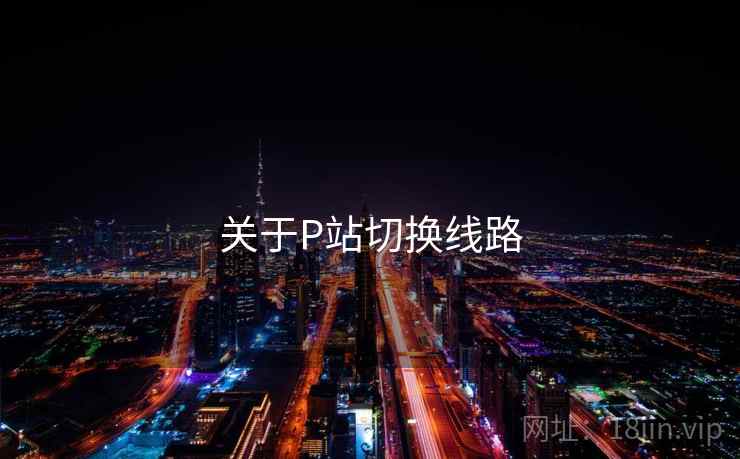 关于P站切换线路 关于P站切换线路