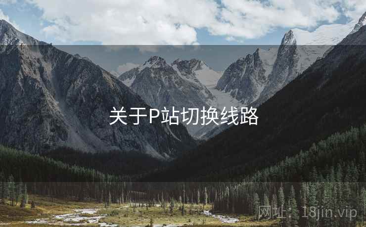 关于P站切换线路