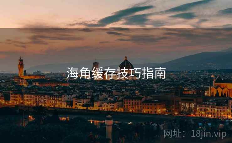 海角缓存技巧指南